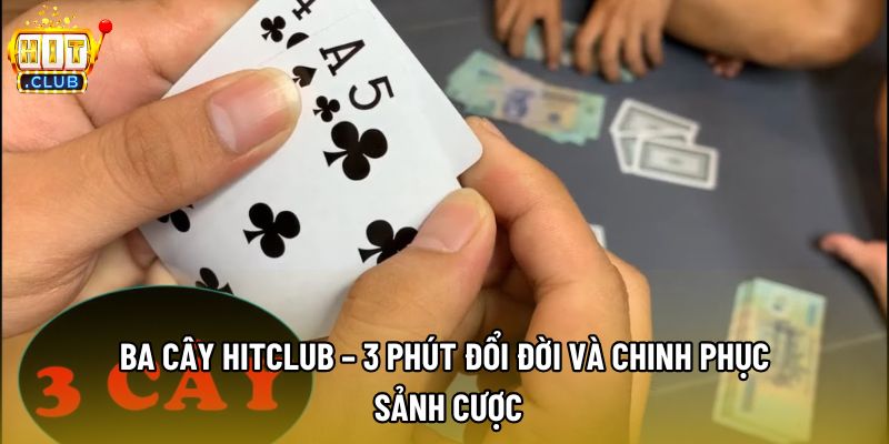 Ba Cây Hitclub – 3 Phút Đổi Đời Và Chinh Phục Sảnh Cược