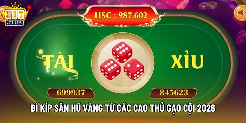 Bí kíp săn hũ vàng từ các cao thủ gạo cội 2026 Bí kíp săn hũ vàng từ các cao thủ gạo cội 2026